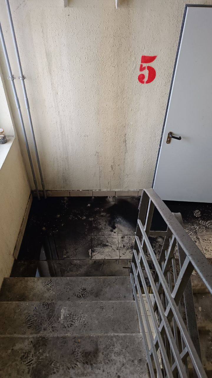 Изображение_2